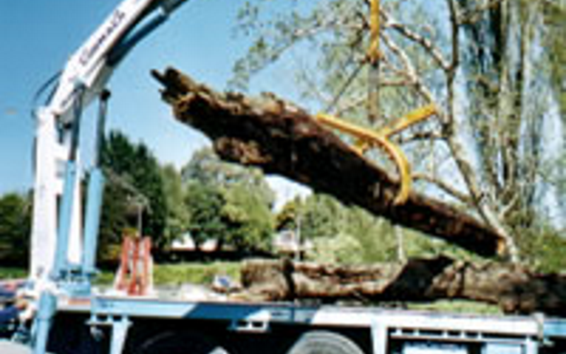 hiab800x500