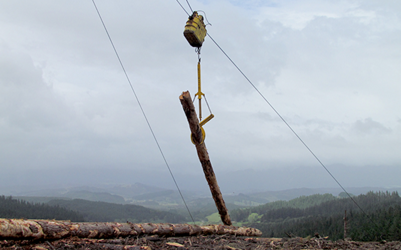 logger800x500